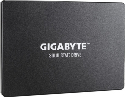 GIGABYTE SSD 256GB SATA (GP-GSTFS31256GTND)