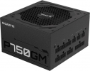 GIGABYTE P750GM 750W ATX 2.31 (GP-P750GM)