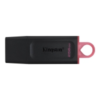 KINGSTON DataTraveler Exodia 256GB USB 3.2 Gen1 (DTX/256GB)