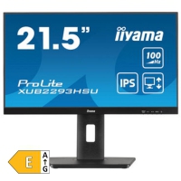 Zaslon IIYAMA ProLite XUB2293HSU-B6 21,5