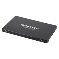 Gigabyte 2,5