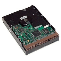 HP 500GB SATA 6Gb/s 7200 HDD (Q036AA)