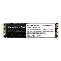 Teamgroup 256GB SSD MS30 M.2 2280 SATA3 TM8PS7256G0C101