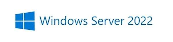 DSP Windows Server 5 CAL 2022 Clt (R18-06466)